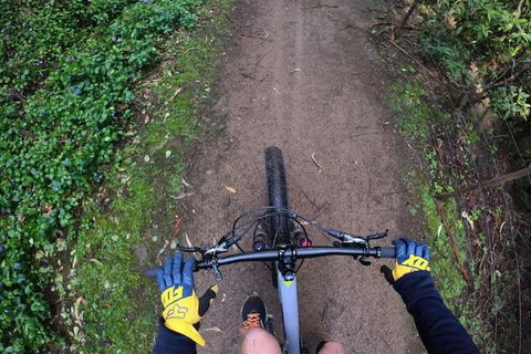 Explore Downhill Mountain In 3-Hour Bike Tour From Hobart - Attractions Melbourne 2