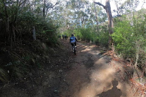 Explore Downhill Mountain In 3-Hour Bike Tour From Hobart - Attractions Melbourne 3