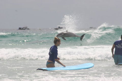 10-Day Surf Adventure From Sydney To Brisbane Including Coffs Harbour, Byron Bay And Gold Coast - Attractions Melbourne 0