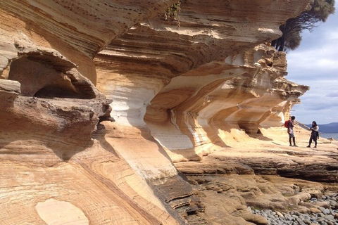 Hobart Minibus Full-Day Private Tour - Attractions Melbourne 0