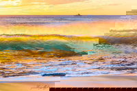 Book Viator Accommodation Vacations Attractions Melbourne Attractions Melbourne
