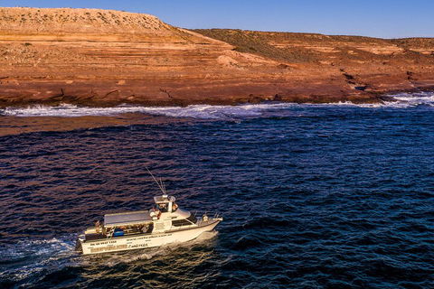 Kalbarri Sunset Coastal Cliff Cruise - Attractions Melbourne 4