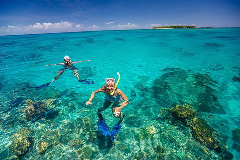 Green Island Discovery Including Glass Bottom Boat Tour Departing Cairns - Attractions Melbourne 2