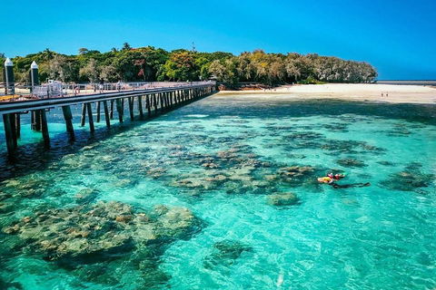 Green Island Discovery Including Glass Bottom Boat Tour Departing Cairns - Attractions Melbourne 4