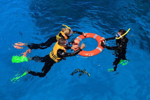 Great Barrier Reef Adventure From Cairns - Attractions Melbourne 3