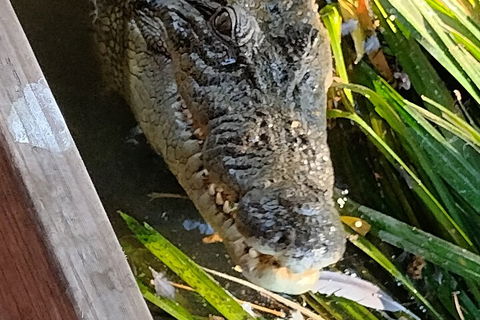 Litchfield Park Adventures And Jumping Crocodile Cruise + Butterfly Farm - Attractions Melbourne 1
