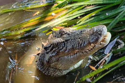 Litchfield Park Adventures And Jumping Crocodile Cruise + Butterfly Farm - Attractions Melbourne 4