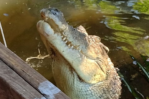 Litchfield Park Adventures And Jumping Crocodile Cruise + Butterfly Farm - Attractions Melbourne 5