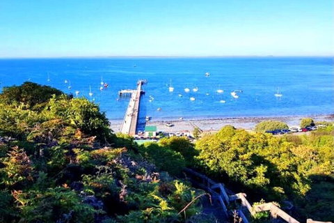 Mornington Peninsula Sightseeing Tour For 2-6 Guests. - Attractions Melbourne 1