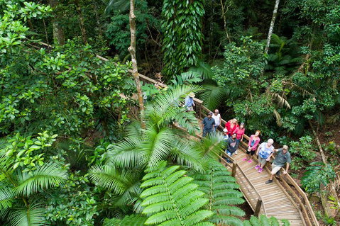 2 Day Daintree Rainforest, Cape Tribulation And Outback Chillagoe Tour - Attractions Melbourne 3