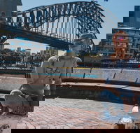 The Rocks  Darling Harbour With A Local Private  Personalized - Attractions Melbourne