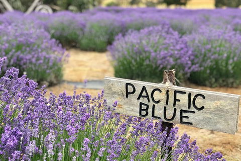 Kangaroo Island Food And Wine Trail Tour - Attractions Melbourne 0