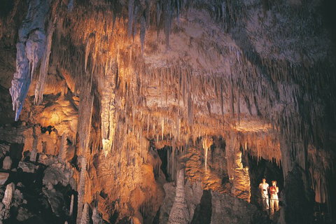 4 Day Tour: Albany, Margaret River, Valley Of The Giants TreeTop Walk From Perth - Attractions Melbourne 1