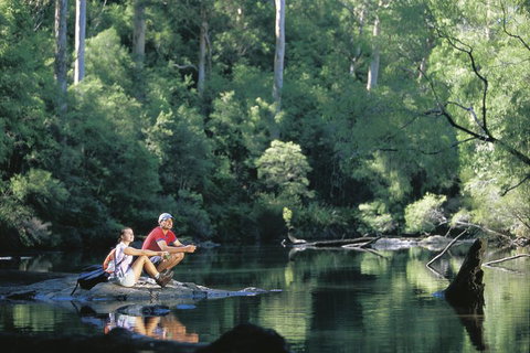 4 Day Tour: Albany, Margaret River, Valley Of The Giants TreeTop Walk From Perth - Attractions Melbourne 3