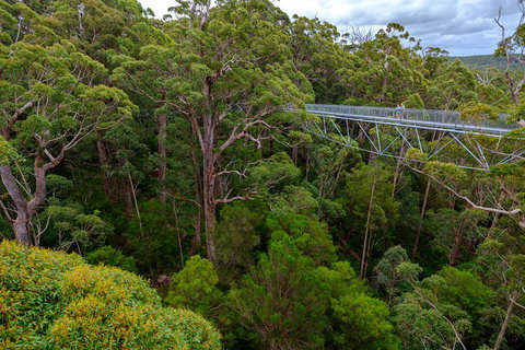 4 Day Tour: Albany, Margaret River, Valley Of The Giants TreeTop Walk From Perth - Attractions Melbourne 4