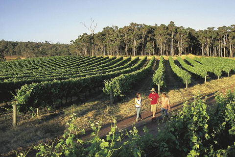 Margaret River, Caves, Wine And Cape Leeuwin Lighthouse Tour From Perth - Attractions Melbourne 1