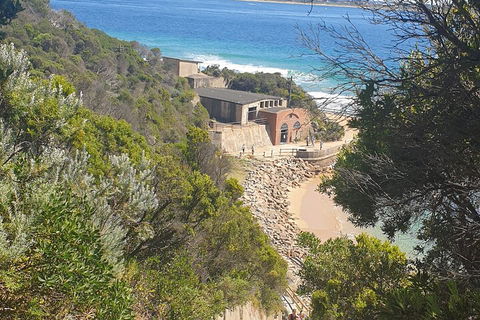 Fort Nepean And Quarantine Station Tour - Attractions Melbourne 4