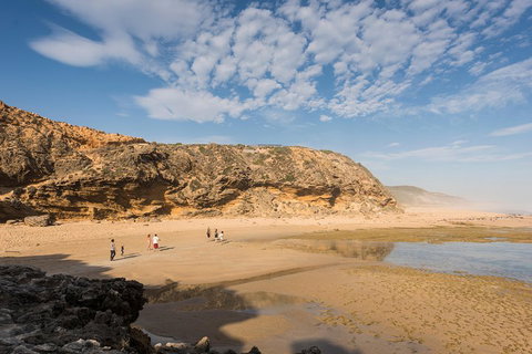 Mornington Peninsula Small Group Day Tour - Attractions Melbourne 5