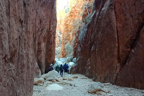 West MacDonnell Private Tour With Transfer - Attractions Melbourne 0