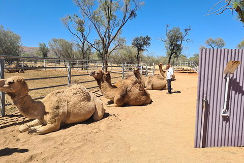 West MacDonnell Ranges Half-Day Small-Group Tour With Camel Ride - Attractions Melbourne 0
