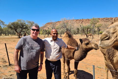 West MacDonnell Ranges Half-Day Small-Group Tour With Camel Ride - Attractions Melbourne 1