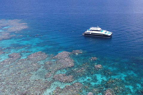 Calypso Outer Great Barrier Reef Cruise From Port Douglas - Attractions Melbourne 4