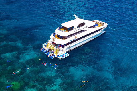 Great Barrier Reef Snorkeling And Diving Cruise From Cairns - Attractions Melbourne 5