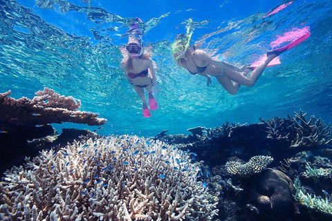 Great Barrier Reef Scenic Helicopter Tour And Cruise From Cairns - Attractions Melbourne 3