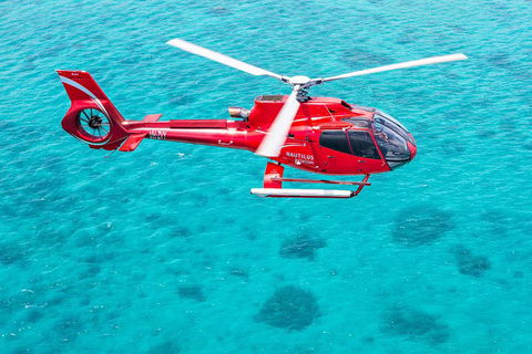 Port Douglas Scenic Flights - Attractions Melbourne 2