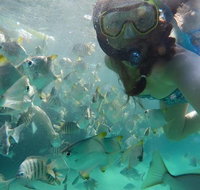 2-Day Moreton Island 4WD Camping Tour from Brisbane - Attractions Melbourne