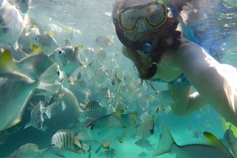 Moreton Island Snorkel And Sandboarding 4WD Day Trip From Brisbane - Attractions Melbourne 3