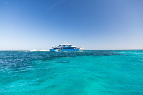 Rottnest Island Bike & Ferry Package From Fremantle - Attractions Melbourne 0