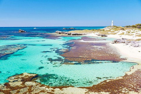 Rottnest Island Bike & Ferry Package From Fremantle - Attractions Melbourne 5