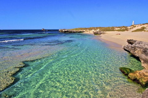 Rottnest Island Bayseeker Day Trip From Perth - Attractions Melbourne 5