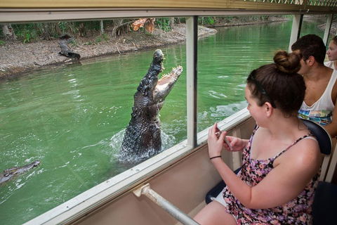 Hartley's Crocodile Adventures Day Trip From Cairns - Attractions Melbourne 3