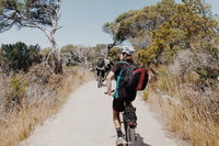 Self-Guided Point Nepean National Park Bike Hire, Mornington