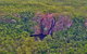 Litchfield Park & Daly River - Scenic Flight From Darwin - thumb 0
