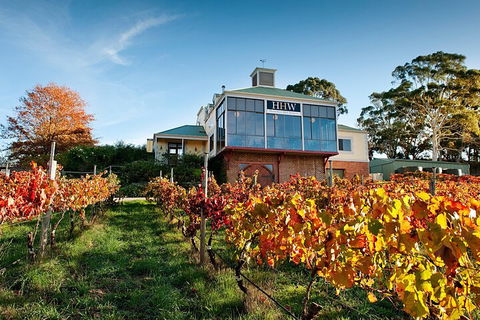 Adelaide Hills Food, Wine, Cheese, & Chocolate - Private Day Tour - Attractions Melbourne 3