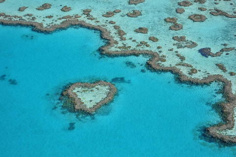 Reef And Island Scenic Flight From Airlie Beach - Attractions Melbourne 5
