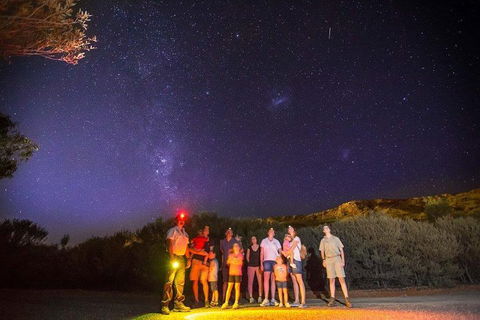 Alice Springs Desert Park Nocturnal Tour - Attractions Melbourne 2