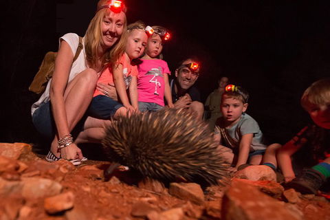 Alice Springs Desert Park Nocturnal Tour - Attractions Melbourne 5