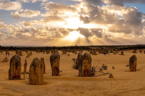 Half Day Pinnacles Sunset Tour - Attractions Melbourne 0