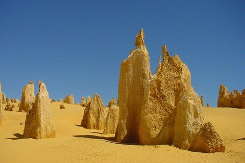 Half Day Pinnacles Sunset Tour - Attractions Melbourne 2