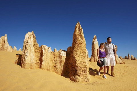 Half Day Pinnacles Sunset Tour - Attractions Melbourne 4