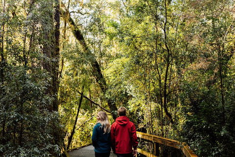 Gordon River Cruise Departing From Strahan - Attractions Melbourne 2