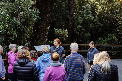 Gordon River Cruise Departing From Strahan - Attractions Melbourne 4