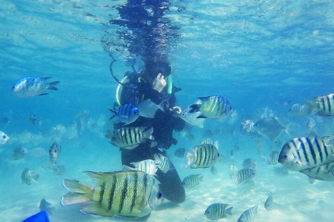 Adventure Moreton Island Scuba Dive Tour - Attractions Melbourne 1