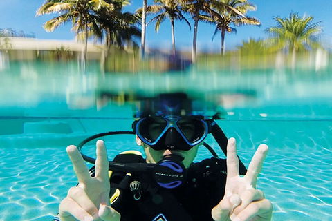Adventure Moreton Island Scuba Dive Tour - Attractions Melbourne 2