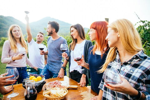 Full Day Mount Tamborine Winery Tour From Brisbane - Attractions Melbourne 5