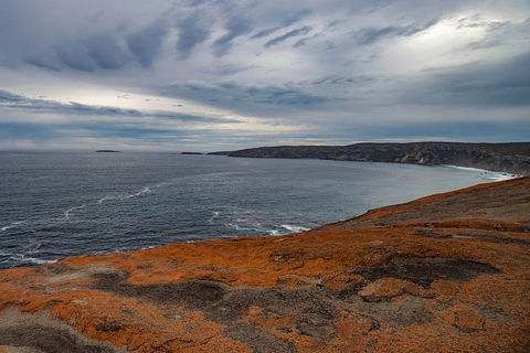 Kangaroo Island Luxury Small Group 'Flinders Chase Focus' Full Day Tour - Attractions Melbourne 0